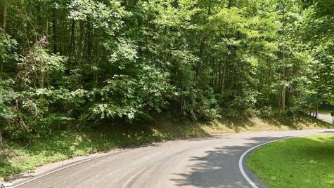 164 Catnip Trail Landrum SC 29356