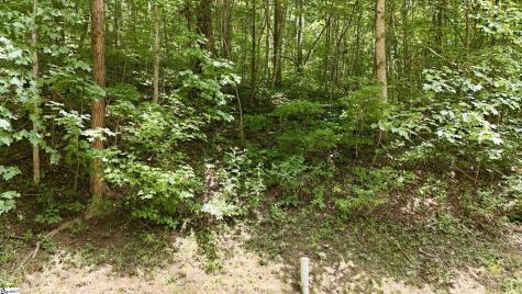 164 Catnip Trail Landrum SC 29356