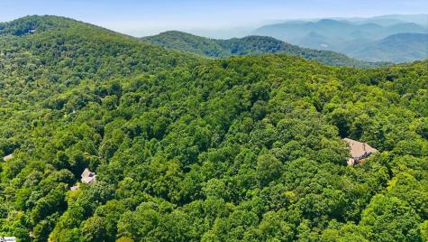 164 Catnip Trail Landrum SC 29356