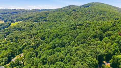 164 Catnip Trail Landrum SC 29356