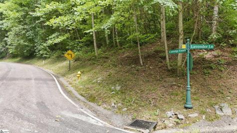 164 Catnip Trail Landrum SC 29356