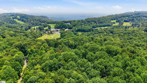 164 Catnip Trail Landrum SC 29356
