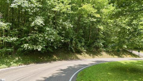 164 Catnip Trail Landrum SC 29356