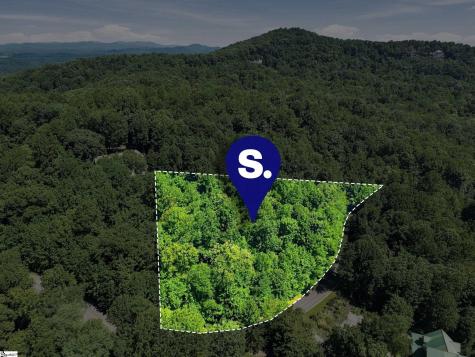 164 Catnip Trail Landrum SC 29356
