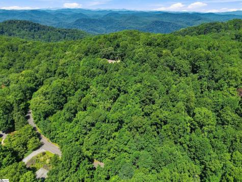 164 Catnip Trail Landrum SC 29356