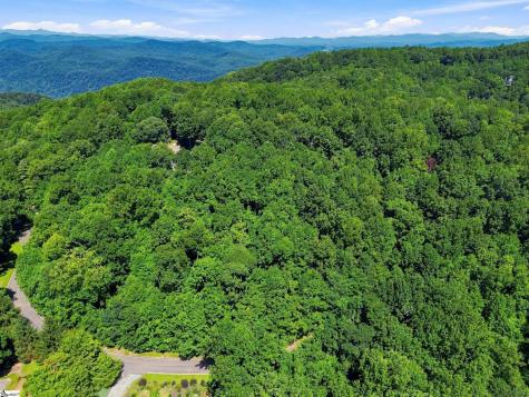 164 Catnip Trail Landrum SC 29356