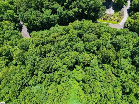 164 Catnip Trail Landrum SC 29356