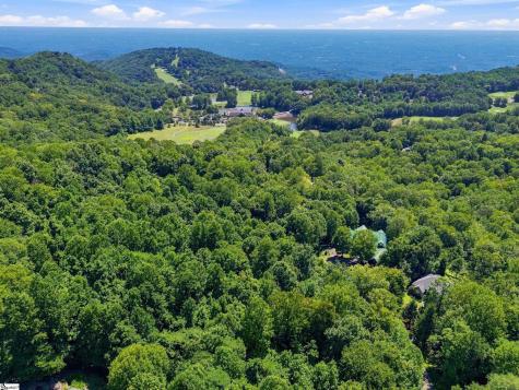 164 Catnip Trail Landrum SC 29356