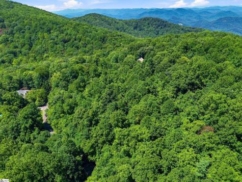 164 Catnip Trail Landrum SC 29356
