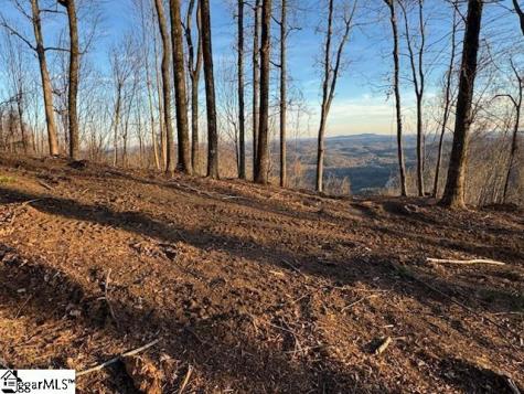 1531 Panther Park Trail Travelers Rest SC 29690