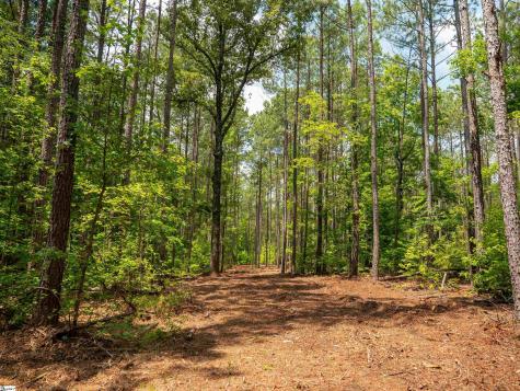 00 Cheek Road Gray Court SC 29645