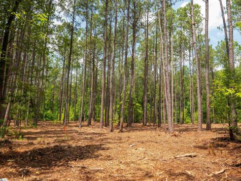 00 Cheek Road Gray Court SC 29645