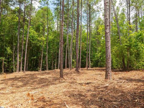 00 Cheek Road Gray Court SC 29645