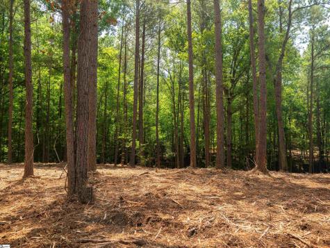 00 Cheek Road Gray Court SC 29645