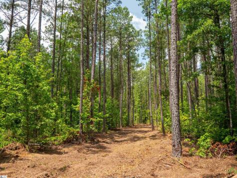 00 Cheek Road Gray Court SC 29645