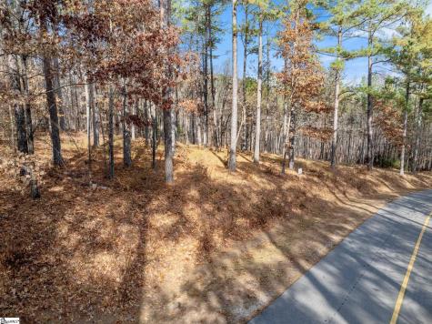 311 Golden Bear Drive Sunset SC 29685