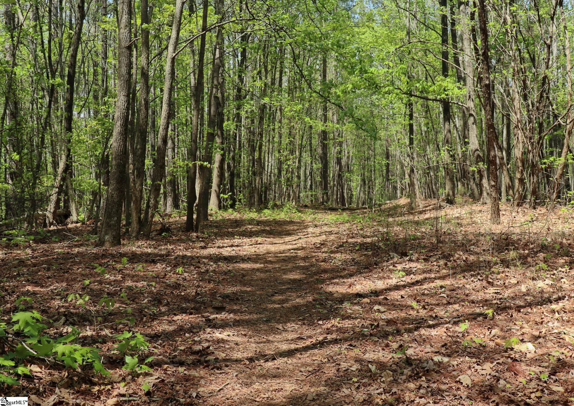 23 Belk Road Travelers Rest SC 29690