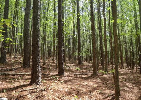 23 Belk Road Travelers Rest SC 29690