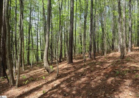 23 Belk Road Travelers Rest SC 29690