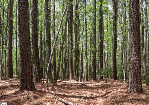 23 Belk Road Travelers Rest SC 29690