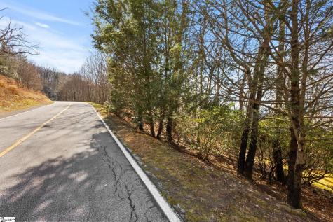 1315 Mountain Summit Road Travelers Rest SC 29690
