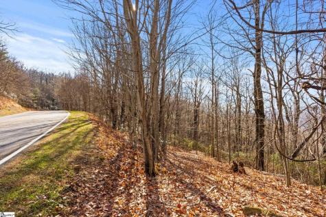 1315 Mountain Summit Road Travelers Rest SC 29690