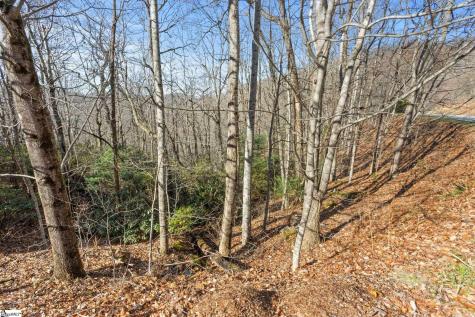 1315 Mountain Summit Road Travelers Rest SC 29690