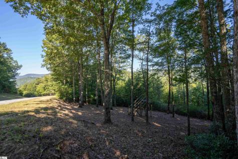 905 Mountain Summit Road Travelers Rest SC 29690