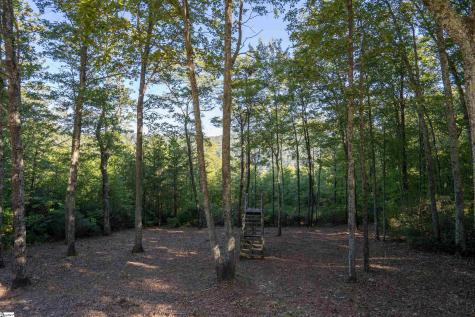 905 Mountain Summit Road Travelers Rest SC 29690