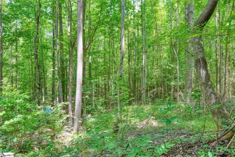 0 Long Branch Road Enoree SC 29335