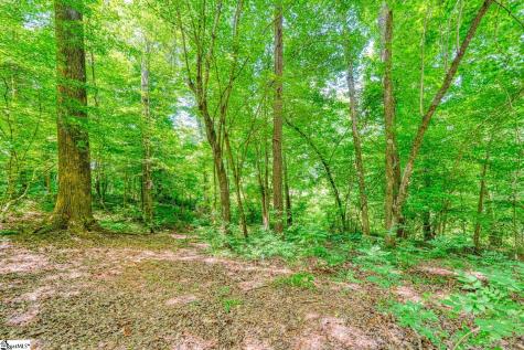0 Long Branch Road Enoree SC 29335