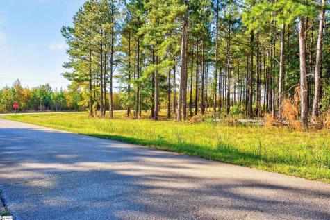 8 Garlington Road Mountville SC 29370