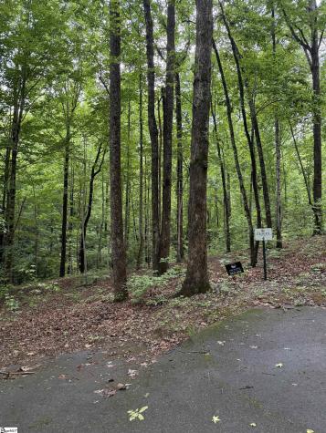 125 Cottage Side Trail Travelers Rest SC 29690