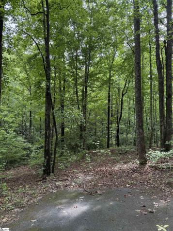 125 Cottage Side Trail Travelers Rest SC 29690