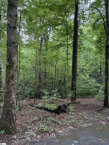 125 Cottage Side Trail Travelers Rest SC 29690