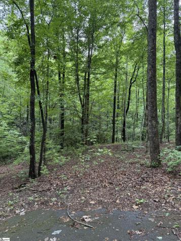 125 Cottage Side Trail Travelers Rest SC 29690