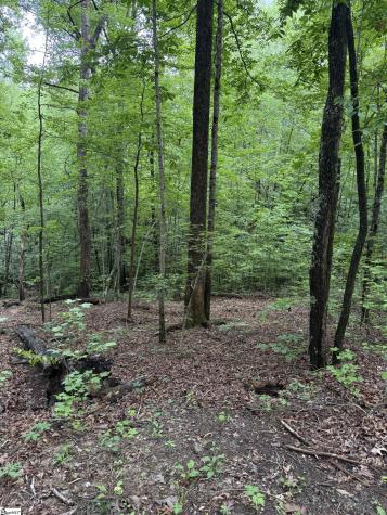 125 Cottage Side Trail Travelers Rest SC 29690