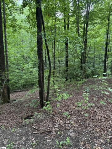 125 Cottage Side Trail Travelers Rest SC 29690