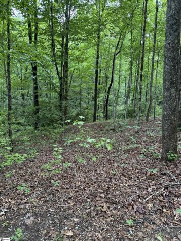 125 Cottage Side Trail Travelers Rest SC 29690