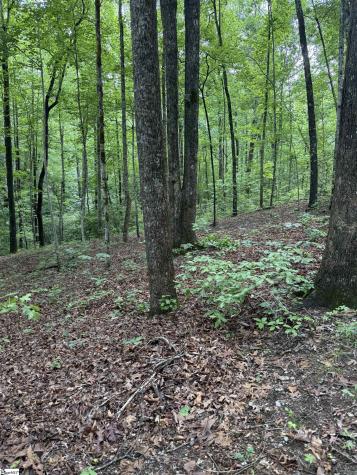 125 Cottage Side Trail Travelers Rest SC 29690