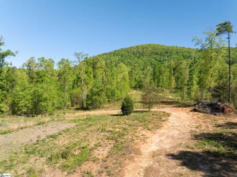 118 Harris Road Pickens SC 29671