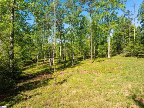 118 Harris Road Pickens SC 29671