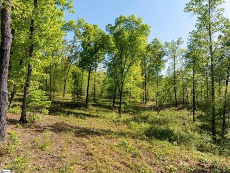 118 Harris Road Pickens SC 29671