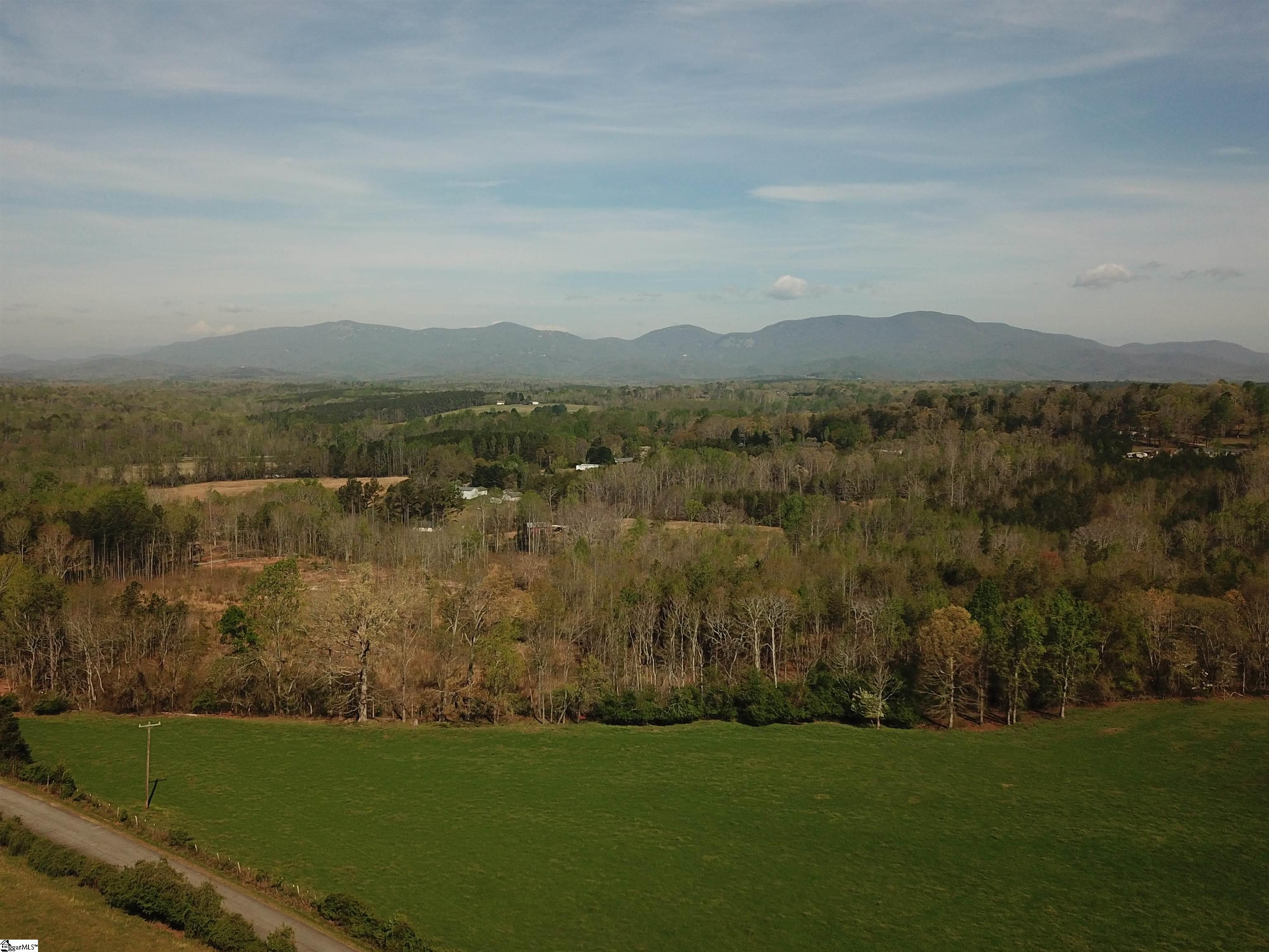 307 Turner Barton Road Landrum SC 29356