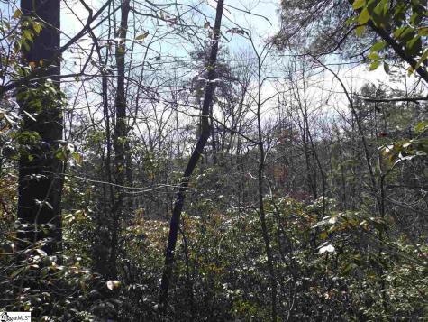 130 Fairway Woods Drive Pickens SC 29671
