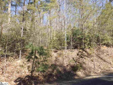 130 Fairway Woods Drive Pickens SC 29671