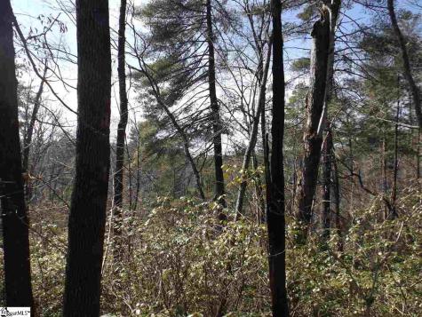 130 Fairway Woods Drive Pickens SC 29671