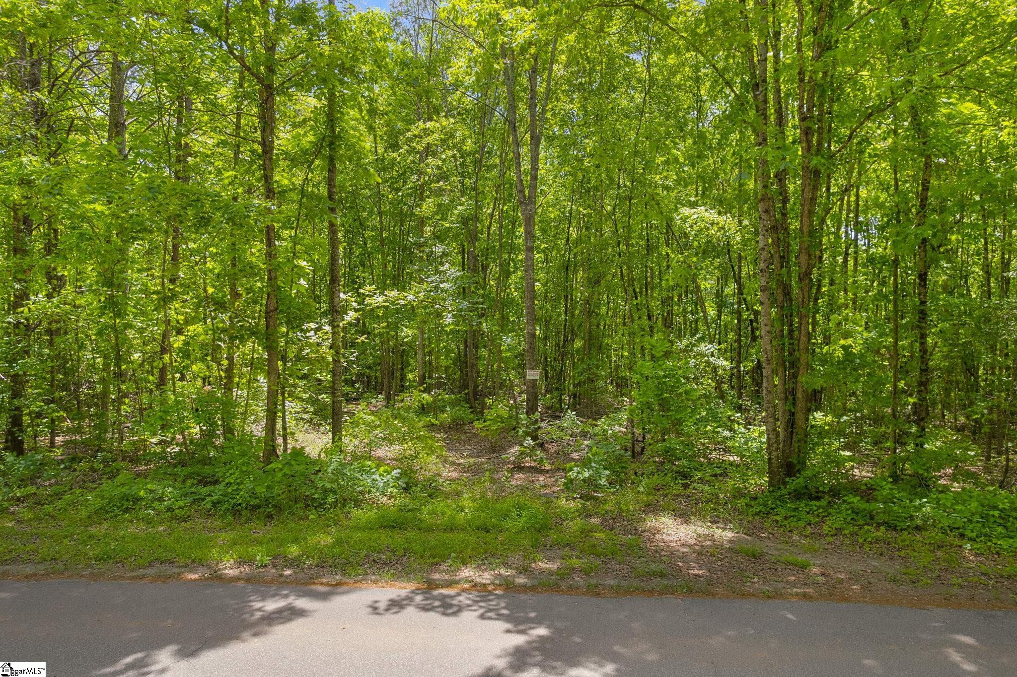 00 Erin Lane Pickens SC 29671