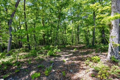 120 Chestnut Mountain Road Travelers Rest SC 29690