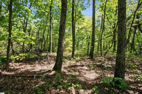 120 Chestnut Mountain Road Travelers Rest SC 29690